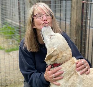 Sue - senior kennels and cattery assistant