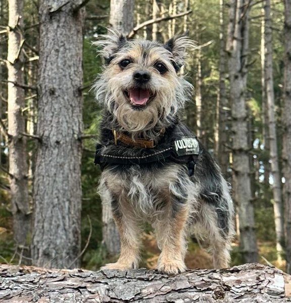 Hugo